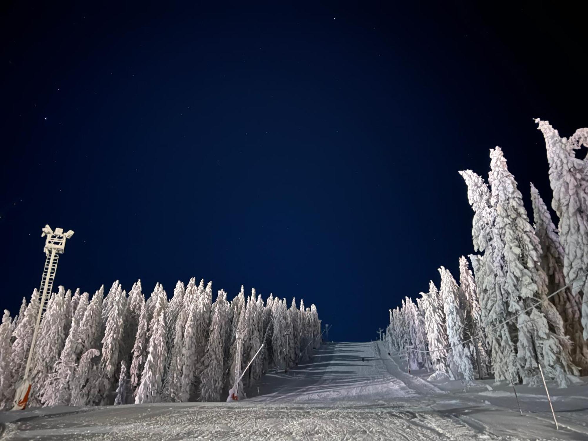Vila Jezero Kopaonik Extérieur photo